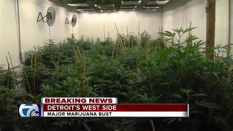 Massive marijuana grow operation found on 'Flower Street' in downtown L.A.